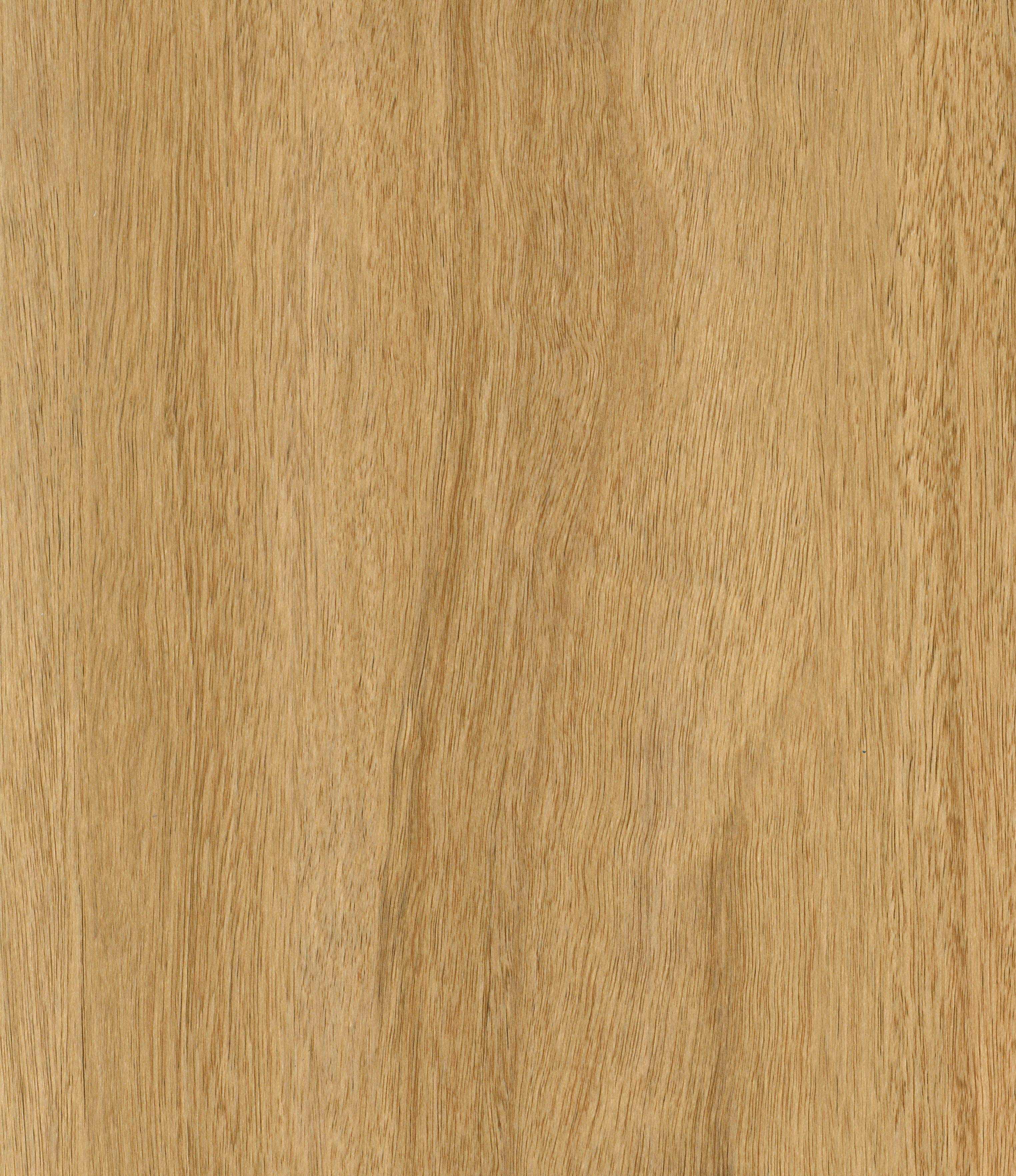 CDW895XL-01 Tan