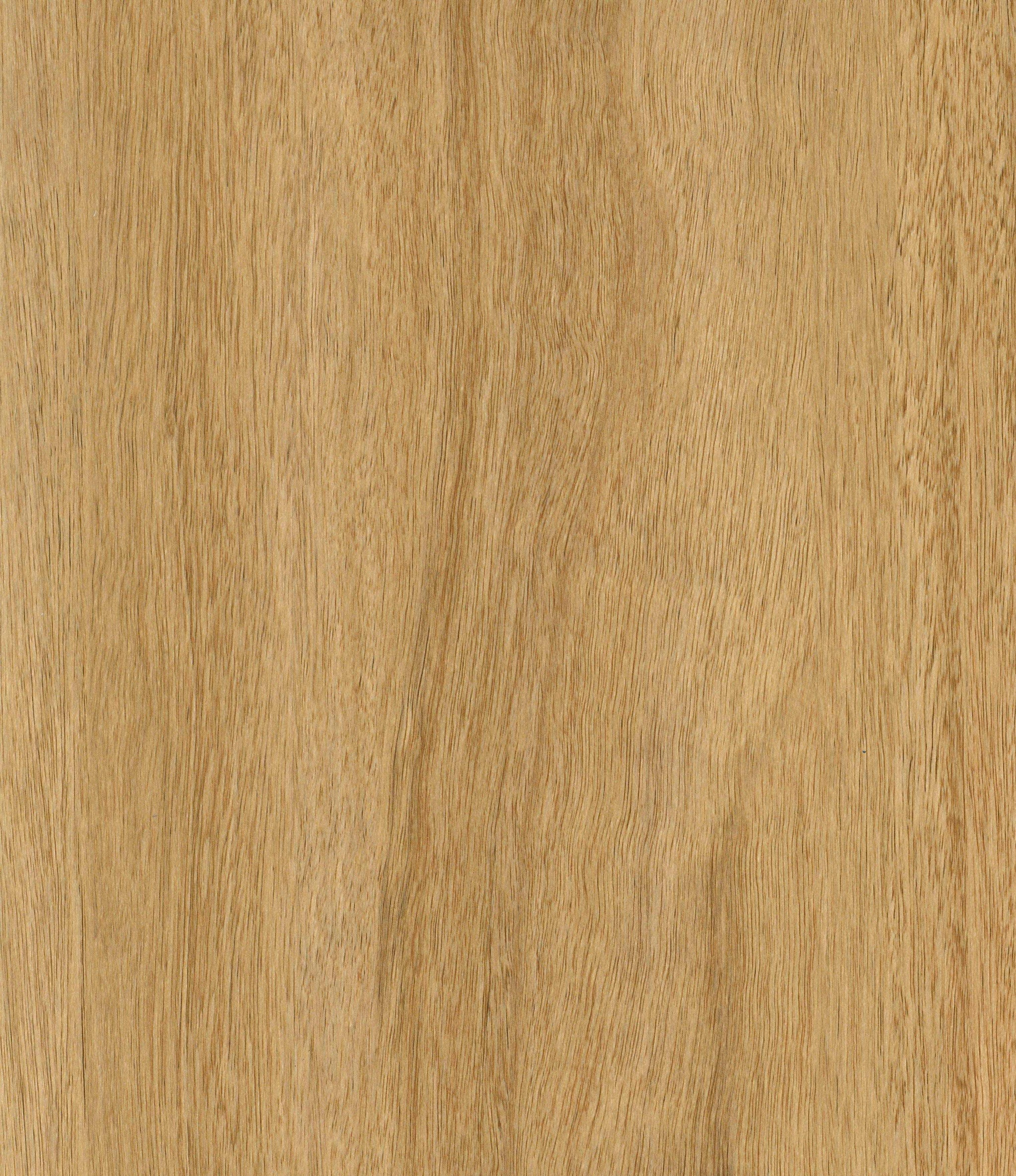 CDW895XL-01 Tan